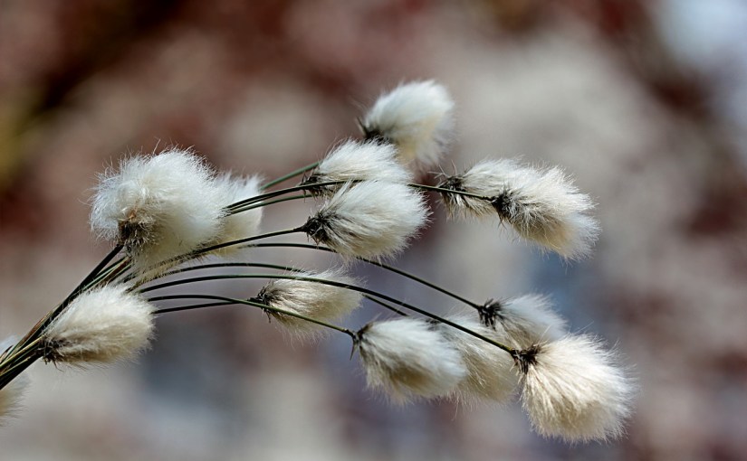 A Poem on&nbsp;Therapy