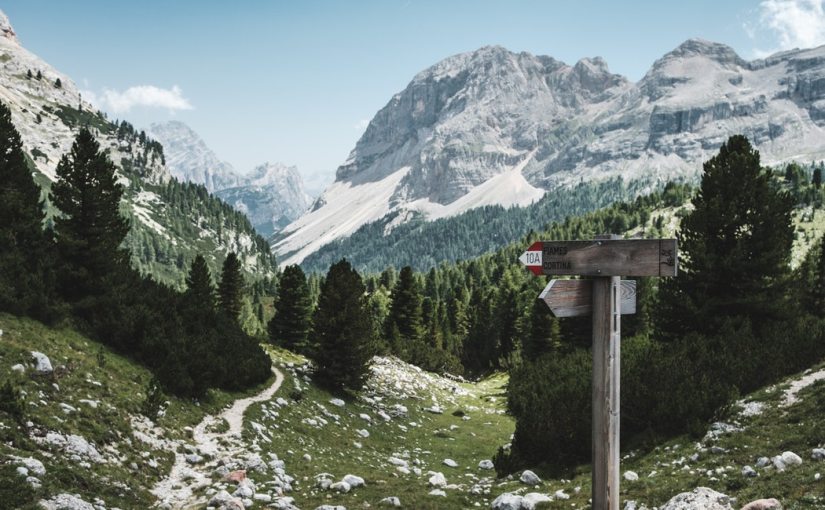 The Autonomy Dilemma